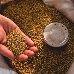 brewing experience