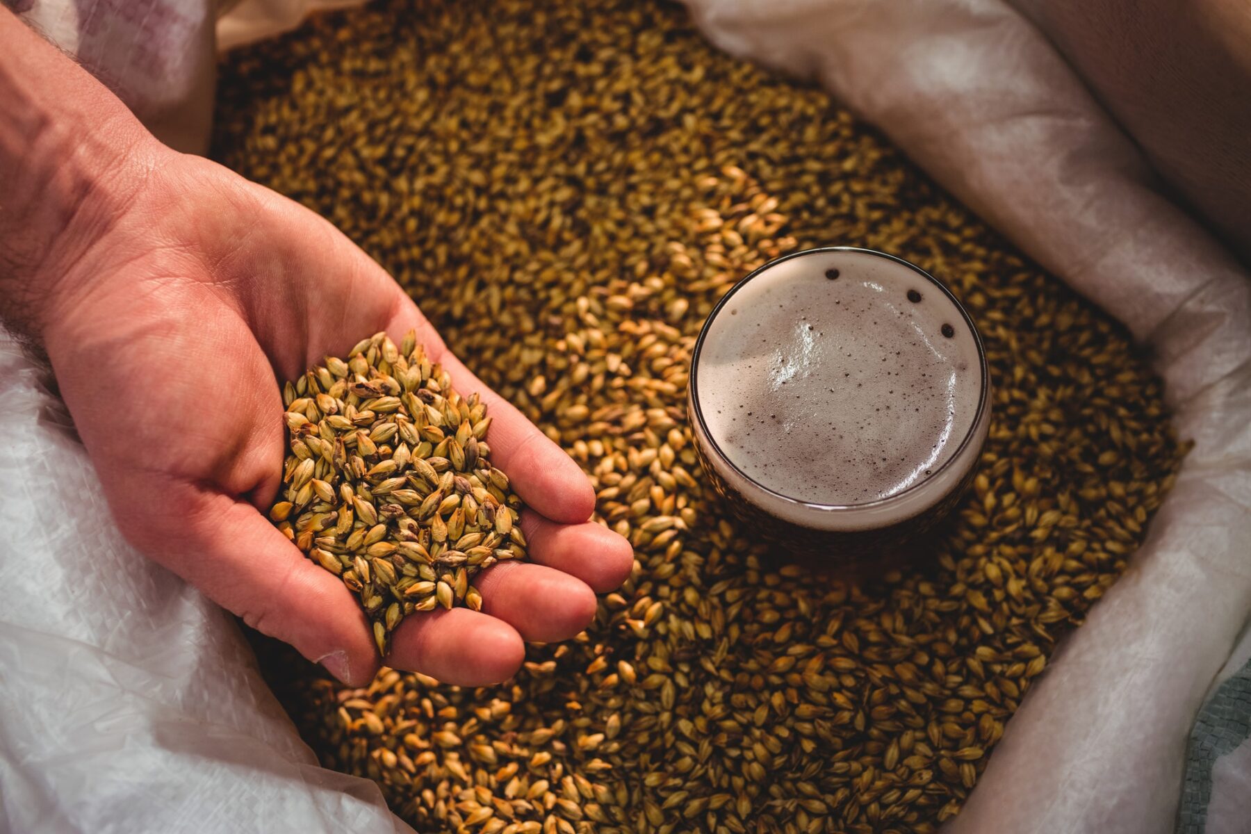 Experienced Grainfather Brewing Session brewing experience